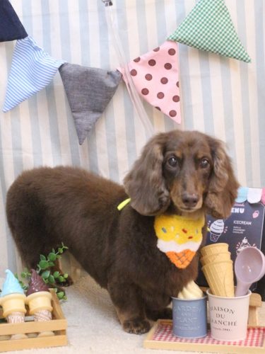 20250524ジョナくん